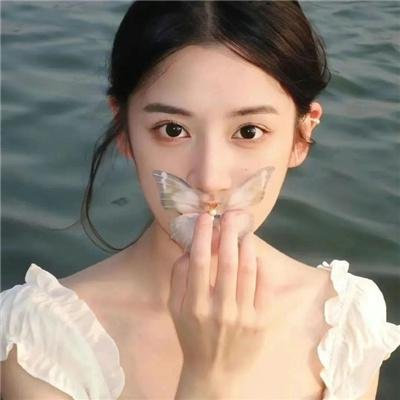 少林与武当